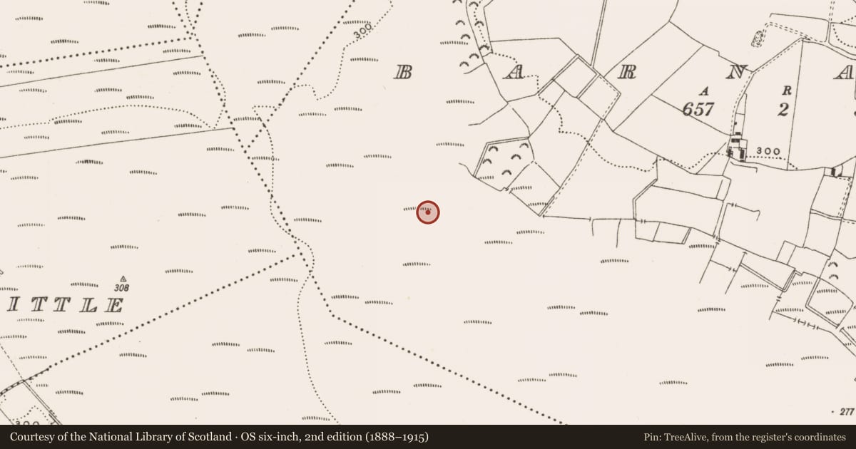 Ordnance Survey six-inch map, 2nd edition (1888–1915) covering the location of Structure - peatland, Barnaboy, County Offaly, with a pin at the register's coordinates