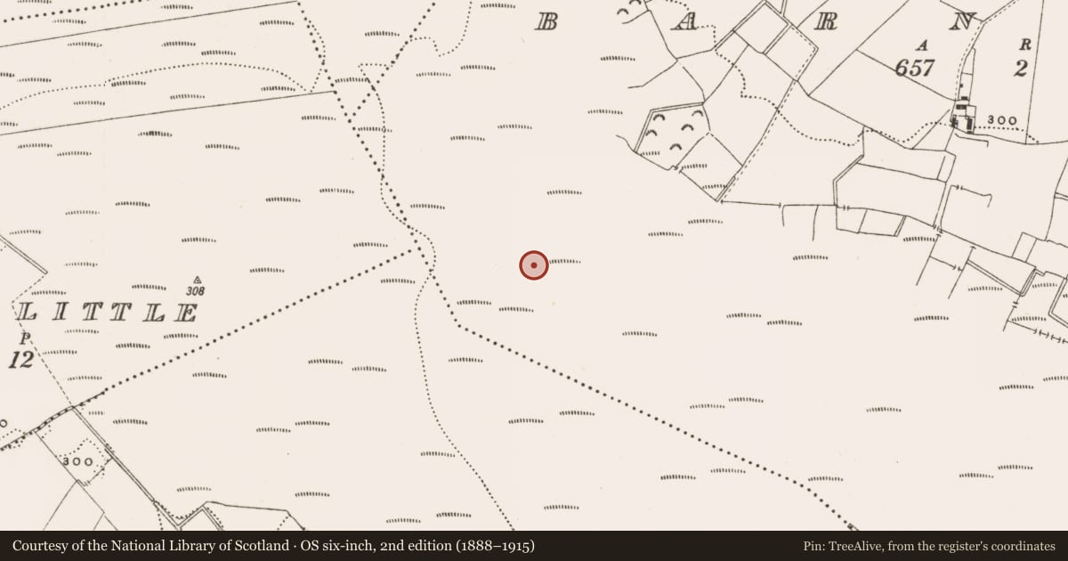 Ordnance Survey six-inch map, 2nd edition (1888–1915) covering the location of Structure - peatland, Barnaboy, County Offaly, with a pin at the register's coordinates