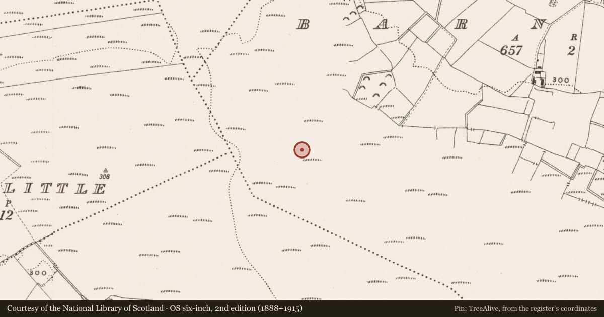 Ordnance Survey six-inch map, 2nd edition (1888–1915) covering the location of Road - class 3 togher, Barnaboy, County Offaly, with a pin at the register's coordinates