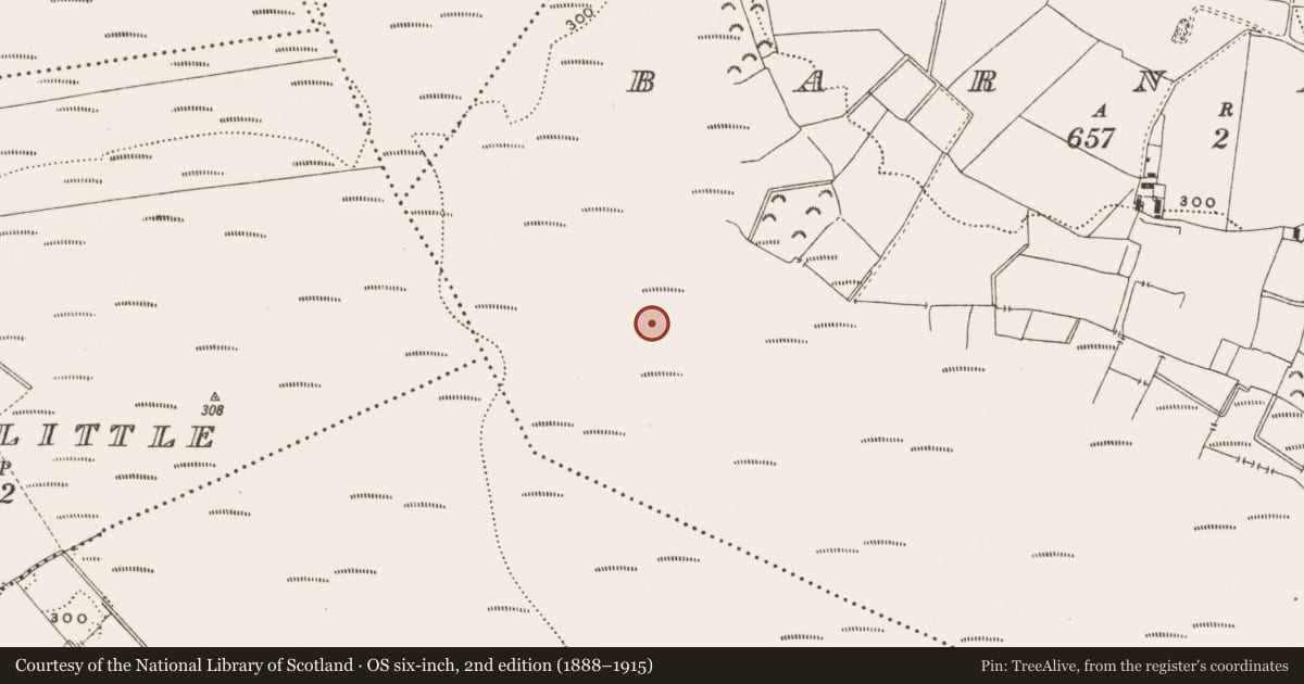 Ordnance Survey six-inch map, 2nd edition (1888–1915) covering the location of Structure - peatland, Barnaboy, County Offaly, with a pin at the register's coordinates