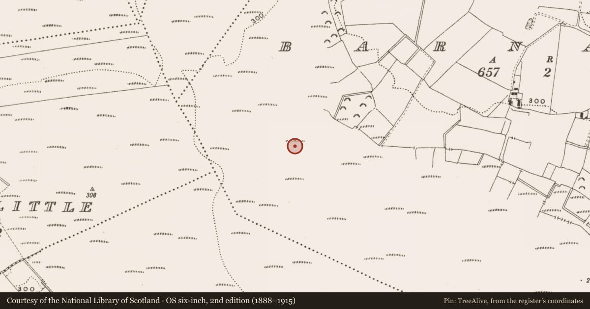 Ordnance Survey six-inch map, 2nd edition (1888–1915) covering the location of Structure - peatland, Barnaboy, County Offaly, with a pin at the register's coordinates