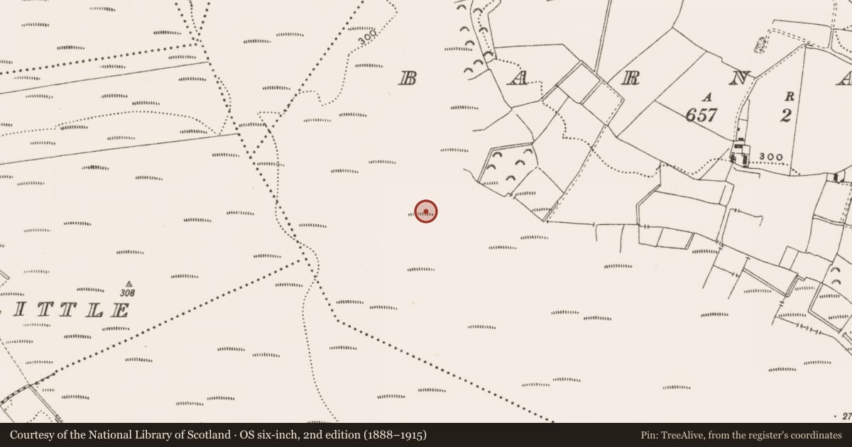 Ordnance Survey six-inch map, 2nd edition (1888–1915) covering the location of Structure - peatland, Barnaboy, County Offaly, with a pin at the register's coordinates