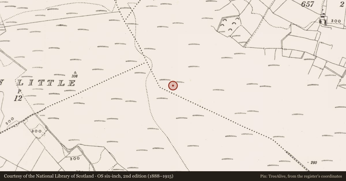 Ordnance Survey six-inch map, 2nd edition (1888–1915) covering the location of Structure - peatland, Barnaboy, County Offaly, with a pin at the register's coordinates