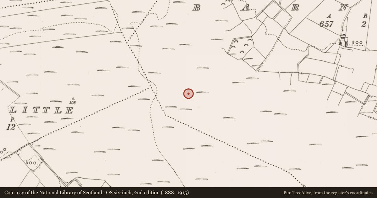 Ordnance Survey six-inch map, 2nd edition (1888–1915) covering the location of Structure - peatland, Barnaboy, County Offaly, with a pin at the register's coordinates