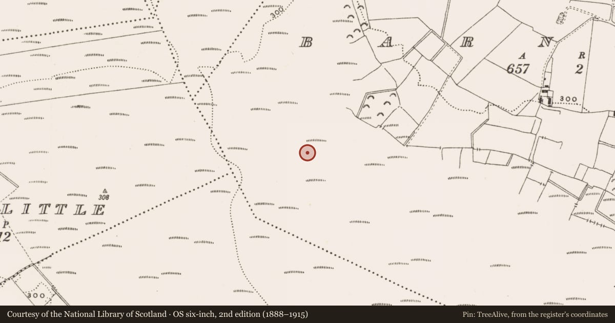 Ordnance Survey six-inch map, 2nd edition (1888–1915) covering the location of Structure - peatland, Barnaboy, County Offaly, with a pin at the register's coordinates