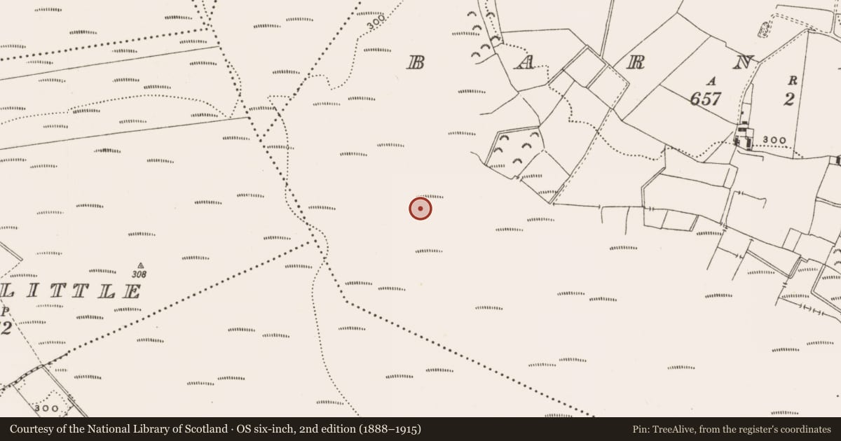 Ordnance Survey six-inch map, 2nd edition (1888–1915) covering the location of Structure - peatland, Barnaboy, County Offaly, with a pin at the register's coordinates