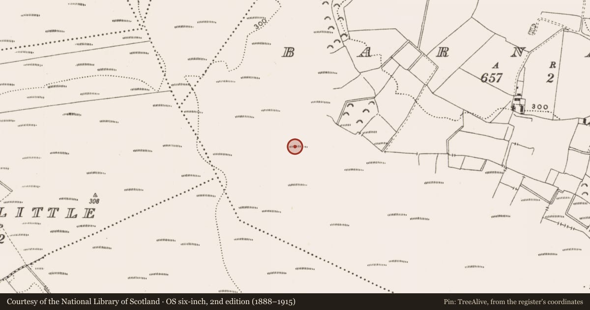 Ordnance Survey six-inch map, 2nd edition (1888–1915) covering the location of Structure - peatland, Barnaboy, County Offaly, with a pin at the register's coordinates