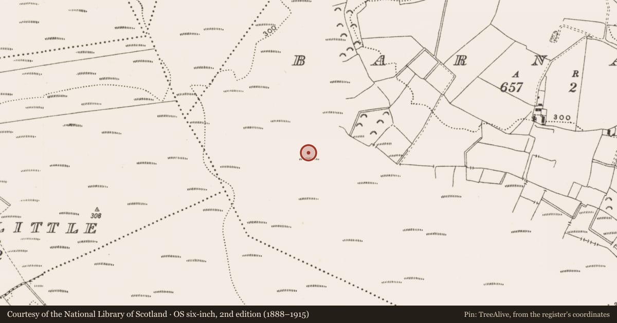 Ordnance Survey six-inch map, 2nd edition (1888–1915) covering the location of Structure - peatland, Barnaboy, County Offaly, with a pin at the register's coordinates