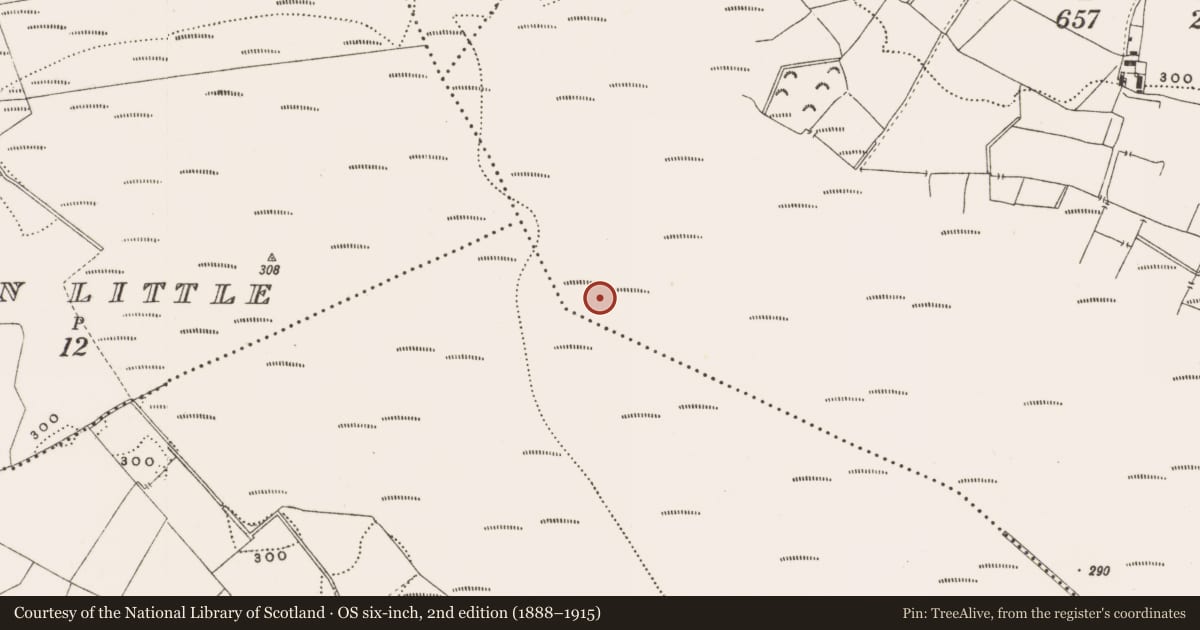 Ordnance Survey six-inch map, 2nd edition (1888–1915) covering the location of Structure - peatland, Barnaboy, County Offaly, with a pin at the register's coordinates
