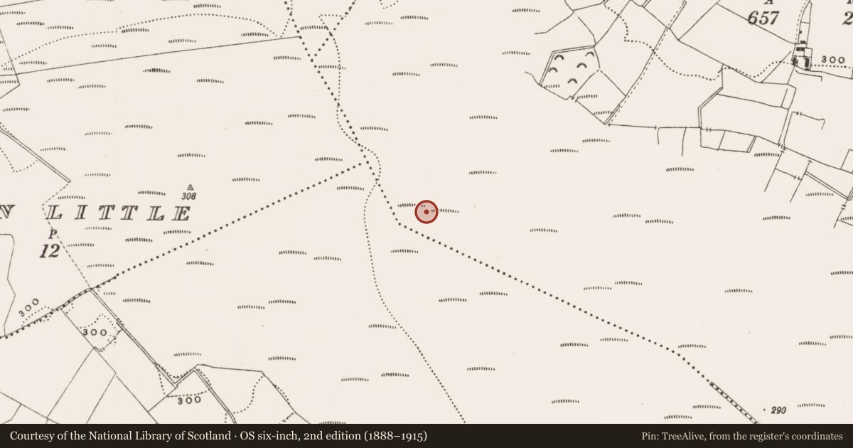 Ordnance Survey six-inch map, 2nd edition (1888–1915) covering the location of Structure - peatland, Barnaboy, County Offaly, with a pin at the register's coordinates