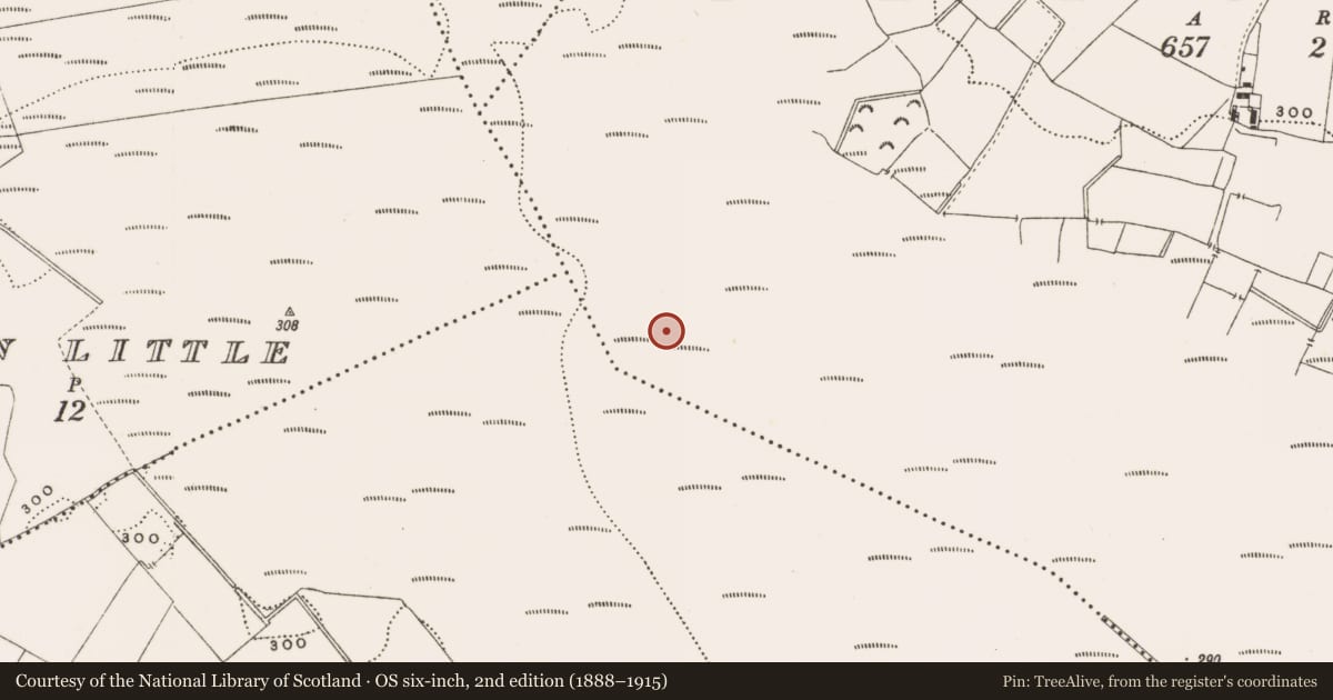 Ordnance Survey six-inch map, 2nd edition (1888–1915) covering the location of Structure - peatland, Barnaboy, County Offaly, with a pin at the register's coordinates
