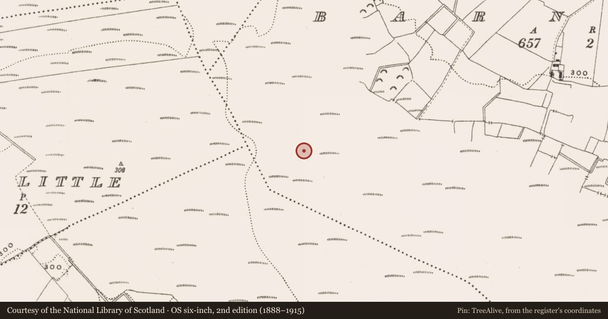 Ordnance Survey six-inch map, 2nd edition (1888–1915) covering the location of Structure - peatland, Barnaboy, County Offaly, with a pin at the register's coordinates