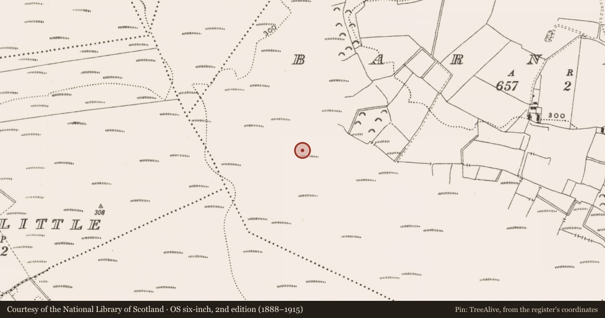 Ordnance Survey six-inch map, 2nd edition (1888–1915) covering the location of Structure - peatland, Barnaboy, County Offaly, with a pin at the register's coordinates