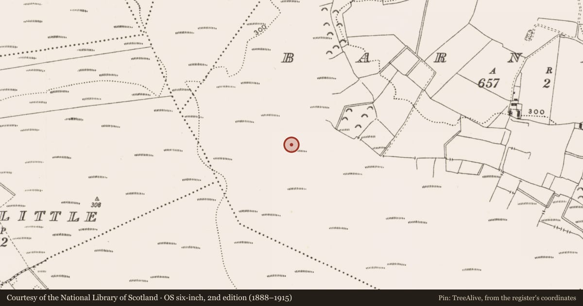 Ordnance Survey six-inch map, 2nd edition (1888–1915) covering the location of Structure - peatland, Barnaboy, County Offaly, with a pin at the register's coordinates
