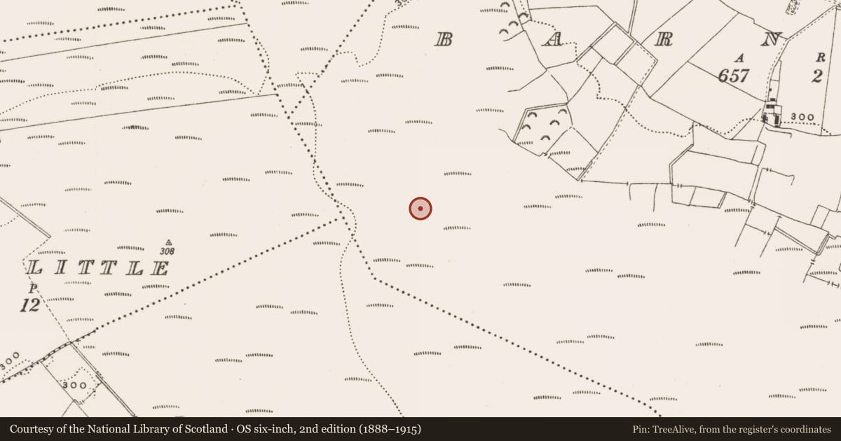 Ordnance Survey six-inch map, 2nd edition (1888–1915) covering the location of Structure - peatland, Barnaboy, County Offaly, with a pin at the register's coordinates