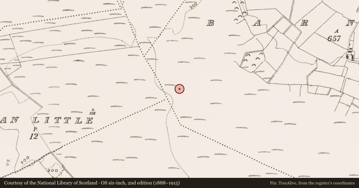 Ordnance Survey six-inch map, 2nd edition (1888–1915) covering the location of Structure - peatland, Barnaboy, County Offaly, with a pin at the register's coordinates