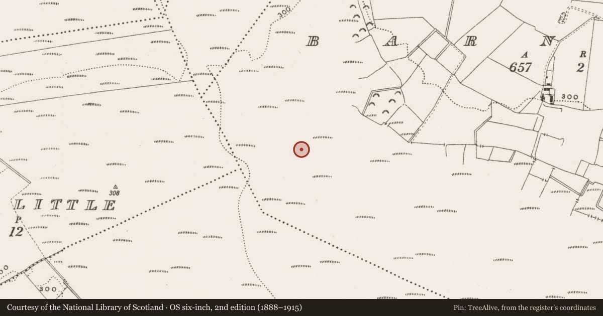Ordnance Survey six-inch map, 2nd edition (1888–1915) covering the location of Structure - peatland, Barnaboy, County Offaly, with a pin at the register's coordinates