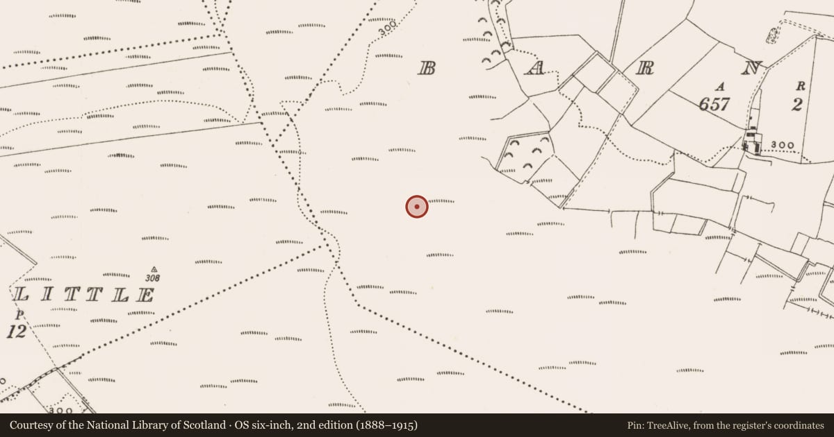 Ordnance Survey six-inch map, 2nd edition (1888–1915) covering the location of Structure - peatland, Barnaboy, County Offaly, with a pin at the register's coordinates