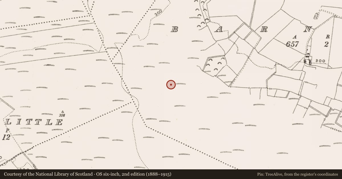 Ordnance Survey six-inch map, 2nd edition (1888–1915) covering the location of Structure - peatland, Barnaboy, County Offaly, with a pin at the register's coordinates