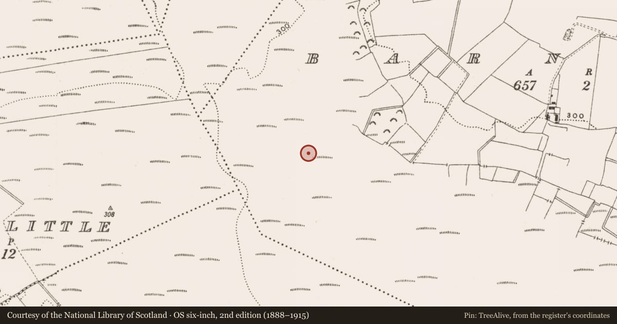 Ordnance Survey six-inch map, 2nd edition (1888–1915) covering the location of Structure - peatland, Barnaboy, County Offaly, with a pin at the register's coordinates
