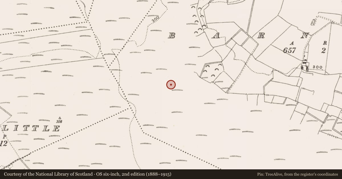 Ordnance Survey six-inch map, 2nd edition (1888–1915) covering the location of Structure - peatland, Barnaboy, County Offaly, with a pin at the register's coordinates