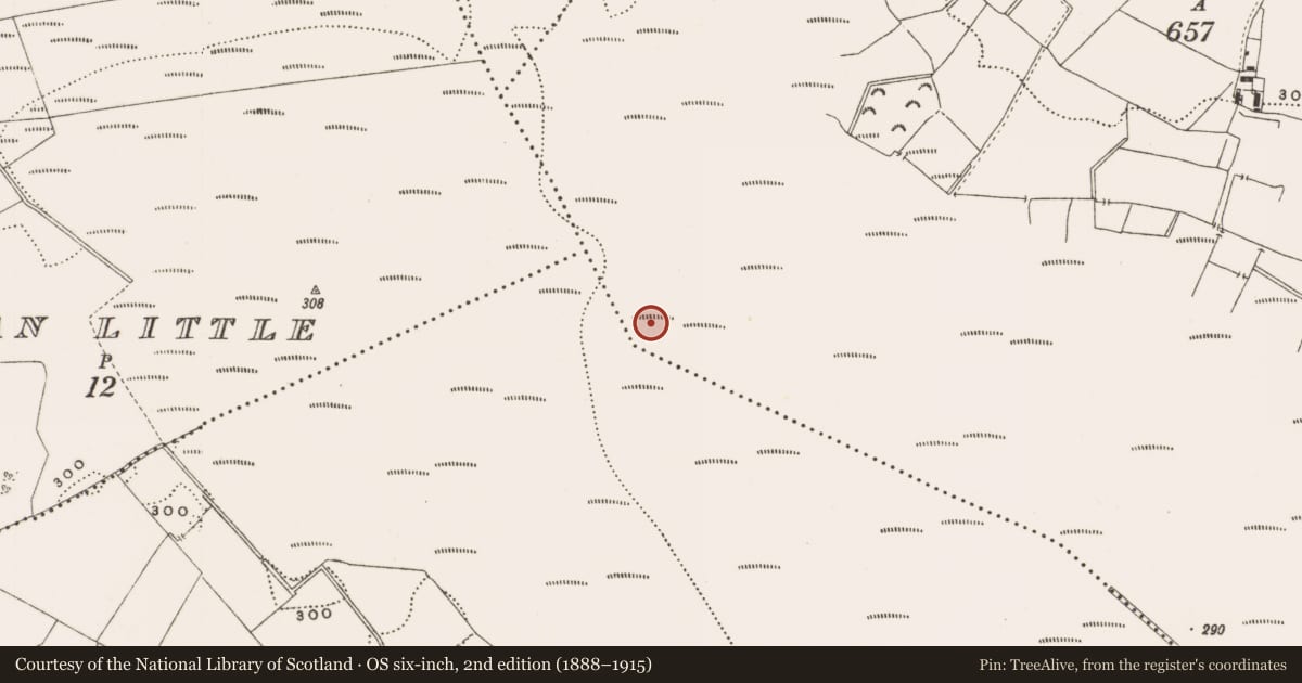 Ordnance Survey six-inch map, 2nd edition (1888–1915) covering the location of Structure - peatland, Barnaboy, County Offaly, with a pin at the register's coordinates