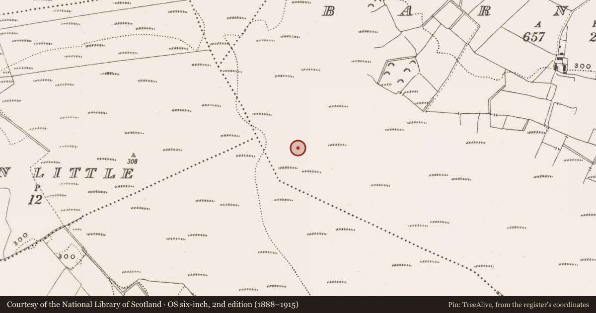 Ordnance Survey six-inch map, 2nd edition (1888–1915) covering the location of Structure - peatland, Barnaboy, County Offaly, with a pin at the register's coordinates