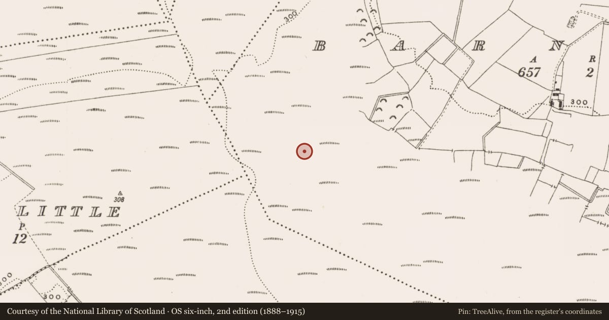 Ordnance Survey six-inch map, 2nd edition (1888–1915) covering the location of Structure - peatland, Barnaboy, County Offaly, with a pin at the register's coordinates