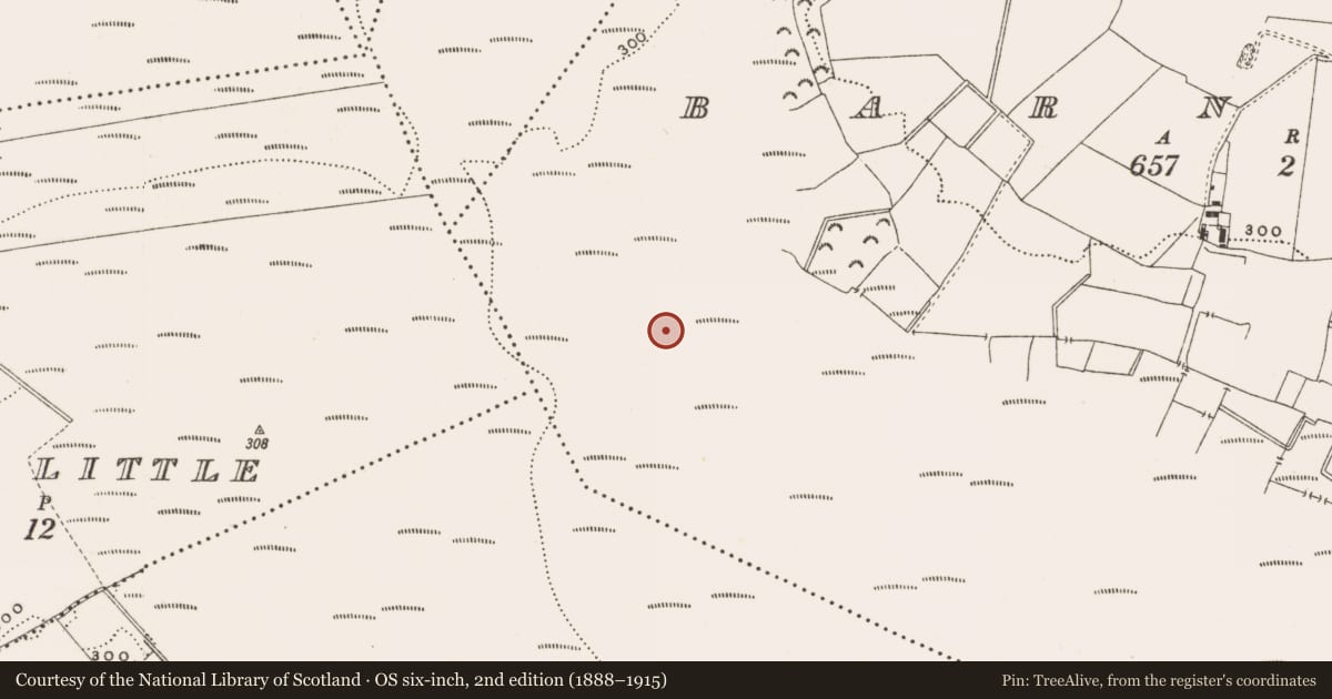 Ordnance Survey six-inch map, 2nd edition (1888–1915) covering the location of Structure - peatland, Barnaboy, County Offaly, with a pin at the register's coordinates