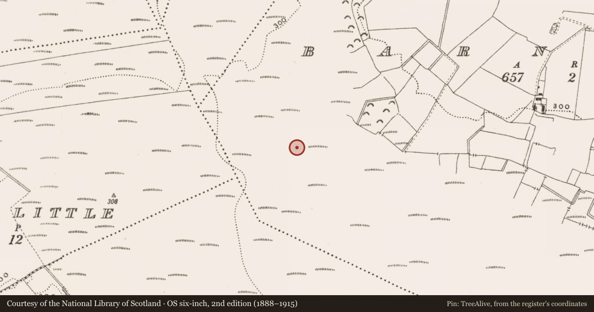 Ordnance Survey six-inch map, 2nd edition (1888–1915) covering the location of Structure - peatland, Barnaboy, County Offaly, with a pin at the register's coordinates
