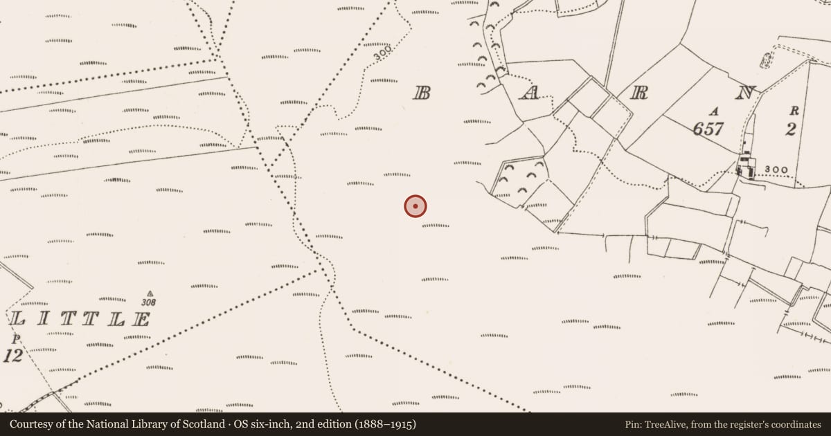 Ordnance Survey six-inch map, 2nd edition (1888–1915) covering the location of Structure - peatland, Barnaboy, County Offaly, with a pin at the register's coordinates