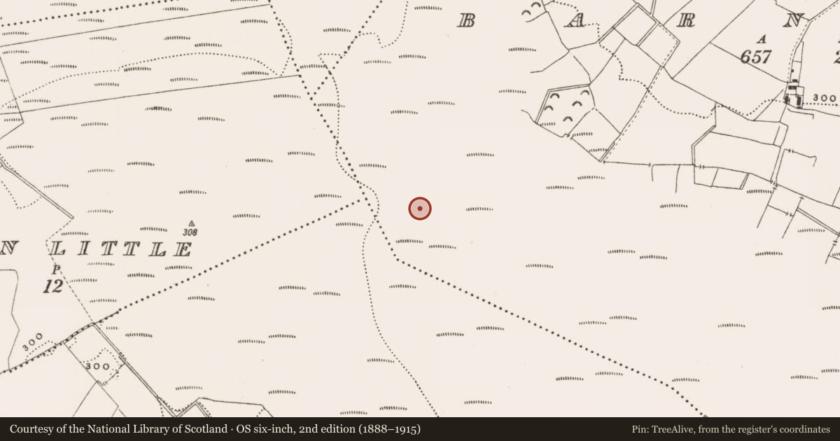 Ordnance Survey six-inch map, 2nd edition (1888–1915) covering the location of Structure - peatland, Barnaboy, County Offaly, with a pin at the register's coordinates