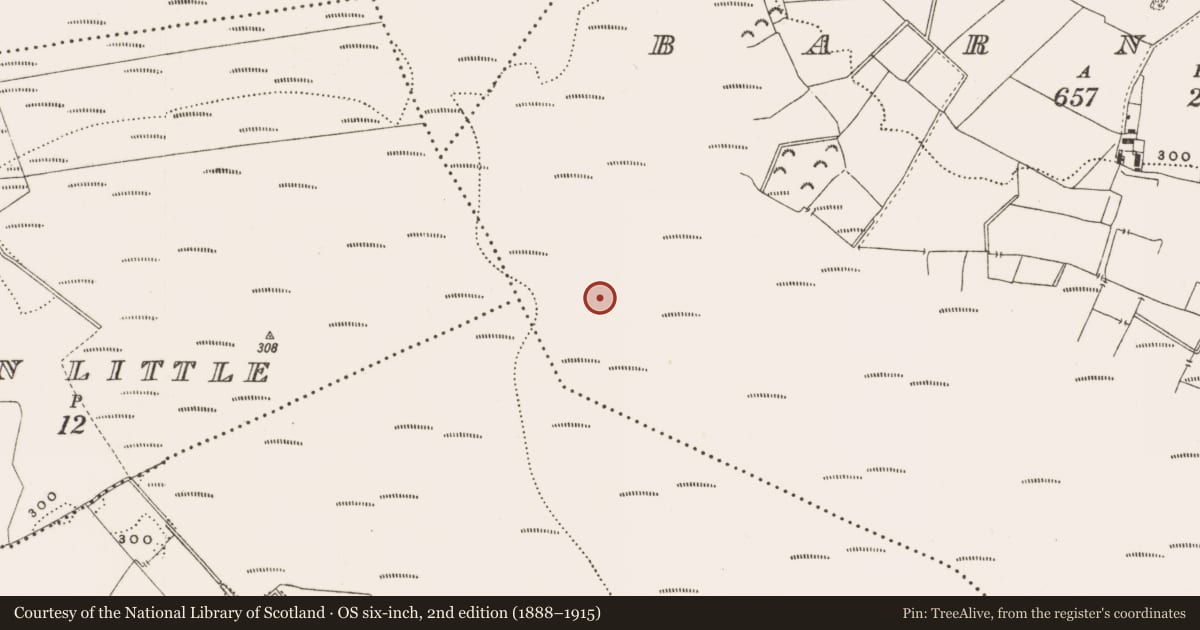 Ordnance Survey six-inch map, 2nd edition (1888–1915) covering the location of Structure - peatland, Barnaboy, County Offaly, with a pin at the register's coordinates