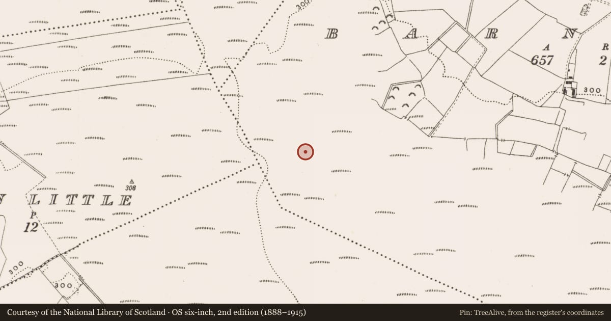 Ordnance Survey six-inch map, 2nd edition (1888–1915) covering the location of Structure - peatland, Barnaboy, County Offaly, with a pin at the register's coordinates