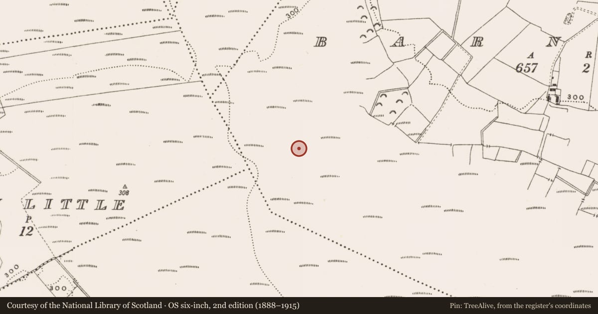 Ordnance Survey six-inch map, 2nd edition (1888–1915) covering the location of Structure - peatland, Barnaboy, County Offaly, with a pin at the register's coordinates
