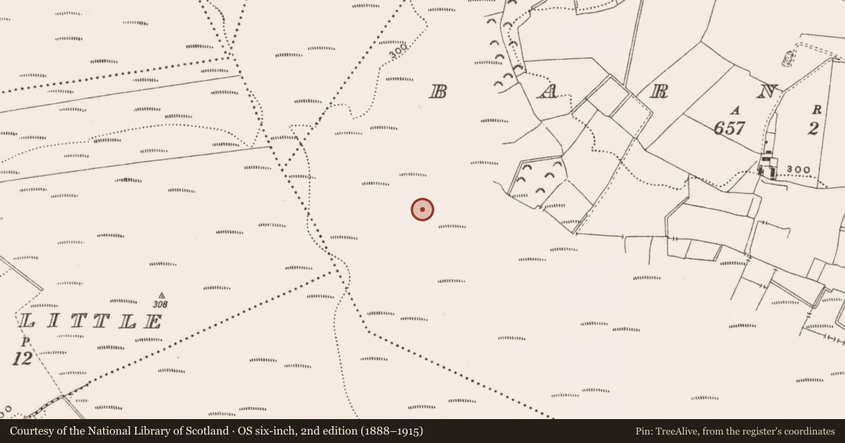 Ordnance Survey six-inch map, 2nd edition (1888–1915) covering the location of Structure - peatland, Barnaboy, County Offaly, with a pin at the register's coordinates