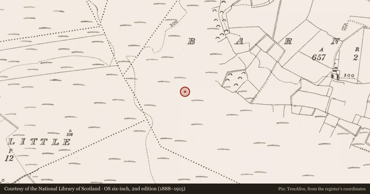 Ordnance Survey six-inch map, 2nd edition (1888–1915) covering the location of Structure - peatland, Barnaboy, County Offaly, with a pin at the register's coordinates