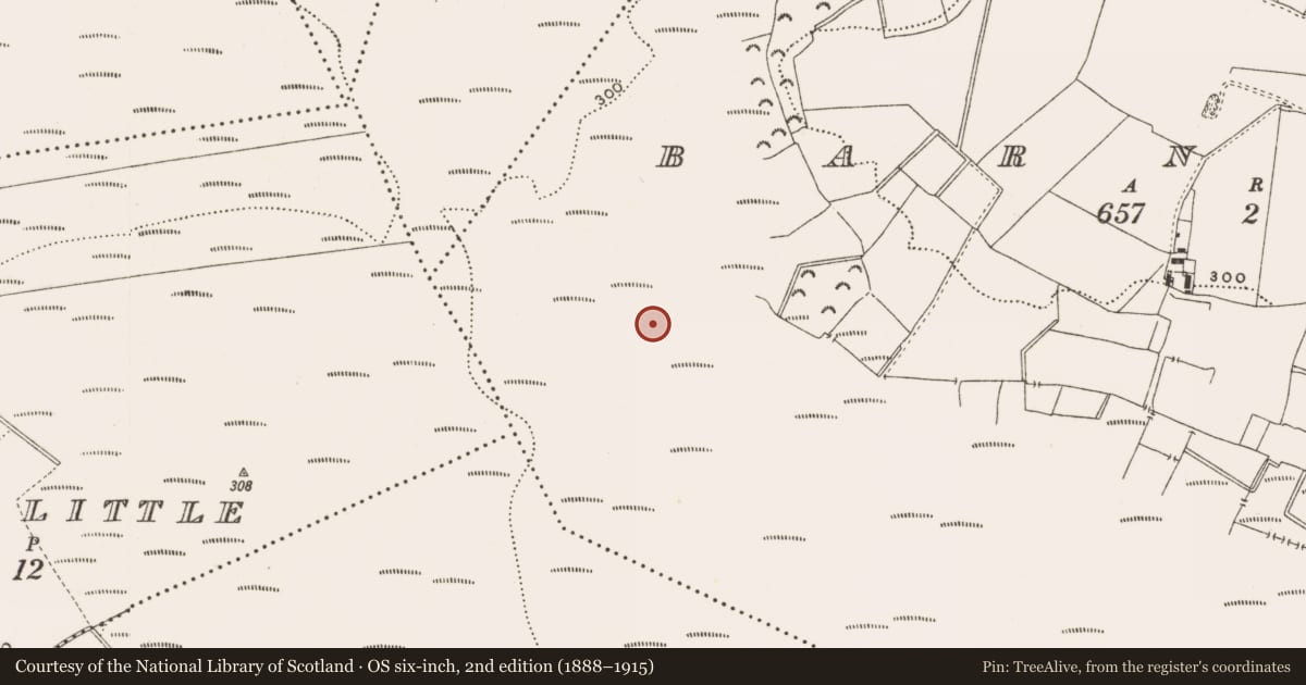 Ordnance Survey six-inch map, 2nd edition (1888–1915) covering the location of Structure - peatland, Barnaboy, County Offaly, with a pin at the register's coordinates