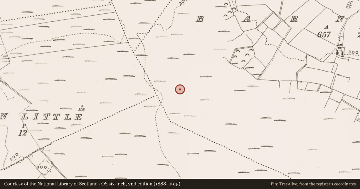 Ordnance Survey six-inch map, 2nd edition (1888–1915) covering the location of Structure - peatland, Barnaboy, County Offaly, with a pin at the register's coordinates