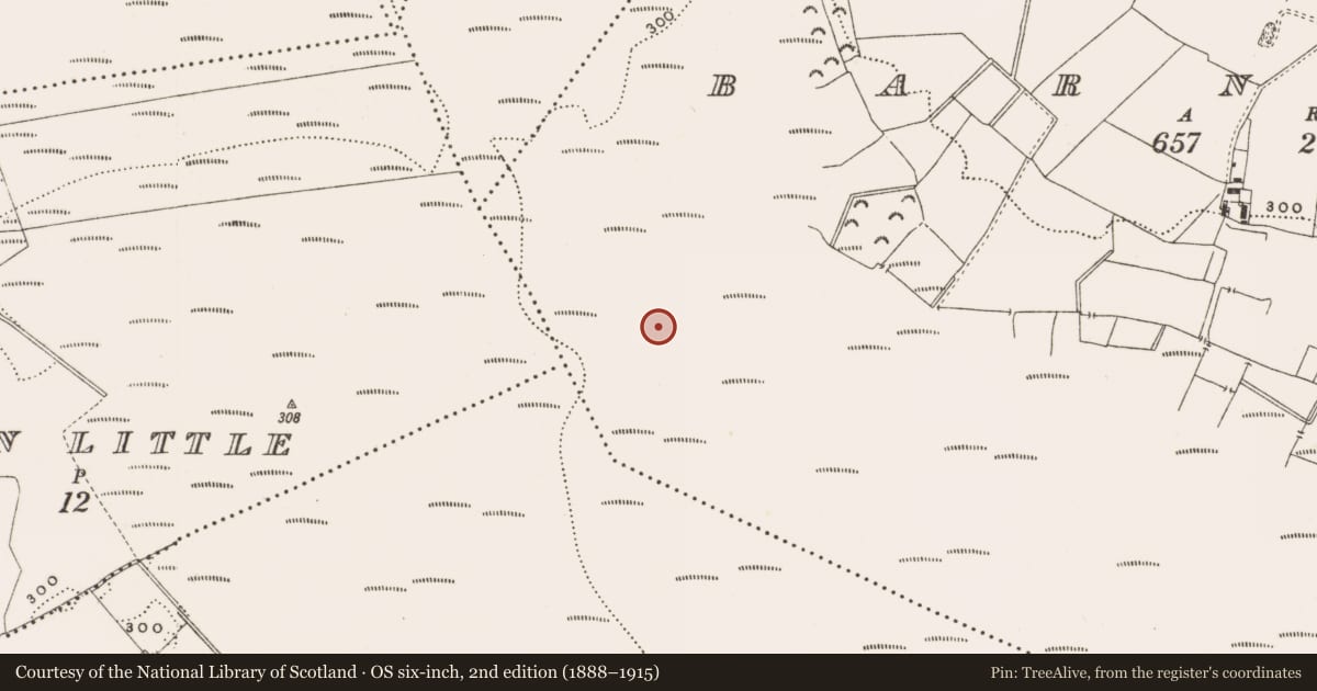 Ordnance Survey six-inch map, 2nd edition (1888–1915) covering the location of Structure - peatland, Barnaboy, County Offaly, with a pin at the register's coordinates