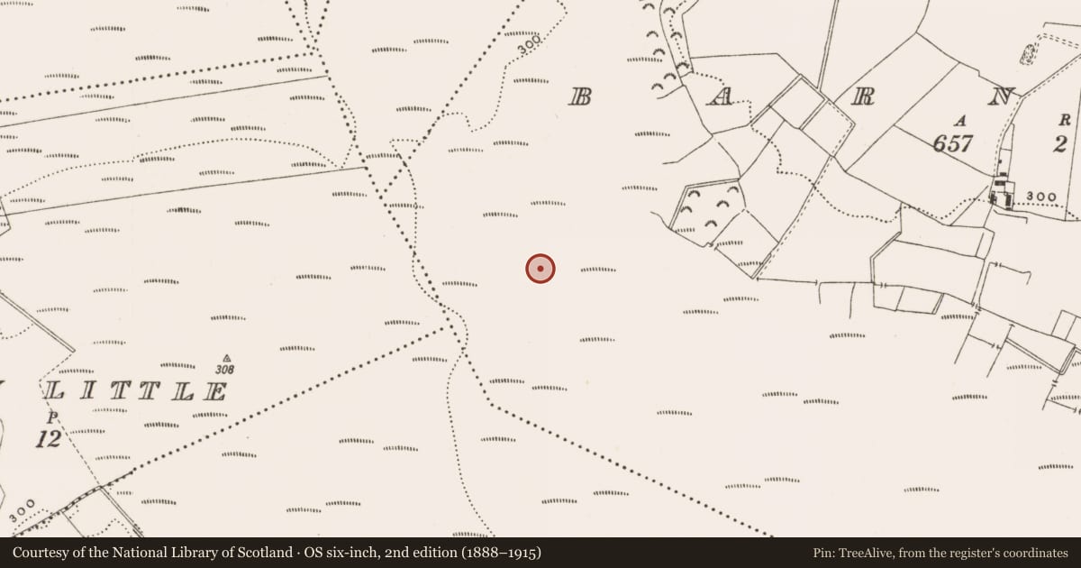 Ordnance Survey six-inch map, 2nd edition (1888–1915) covering the location of Structure - peatland, Barnaboy, County Offaly, with a pin at the register's coordinates