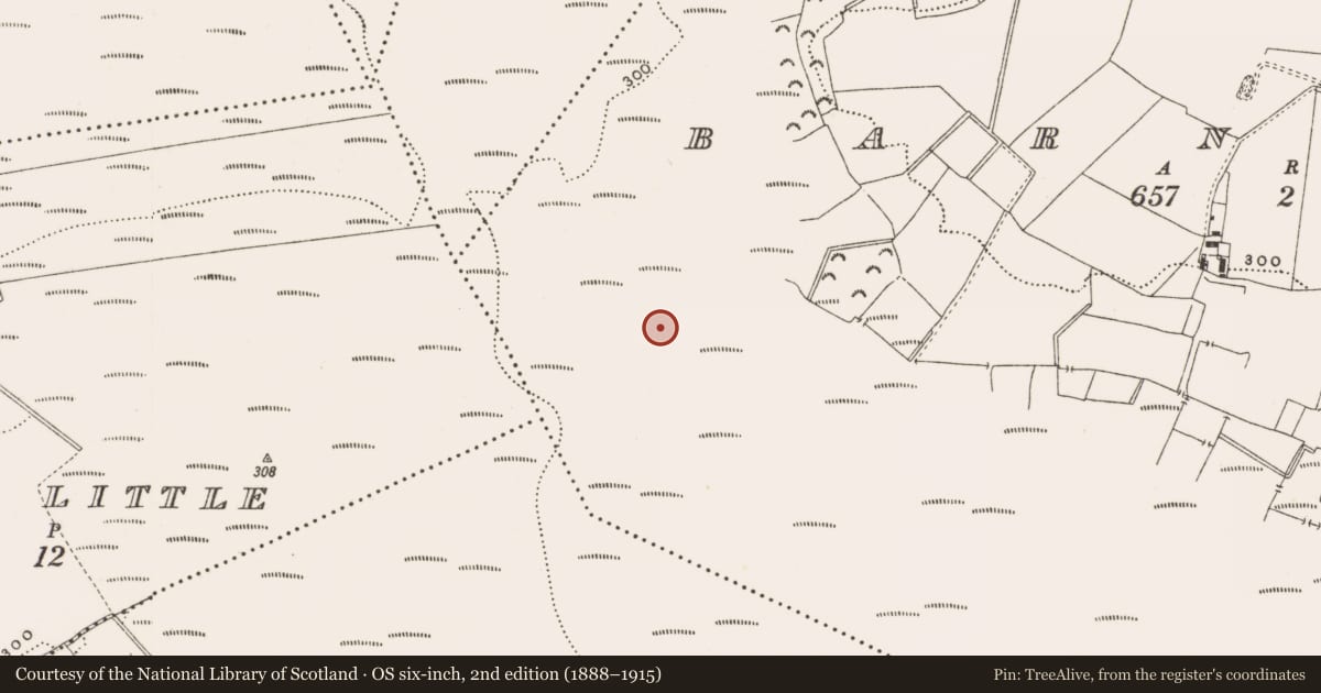 Ordnance Survey six-inch map, 2nd edition (1888–1915) covering the location of Structure - peatland, Barnaboy, County Offaly, with a pin at the register's coordinates