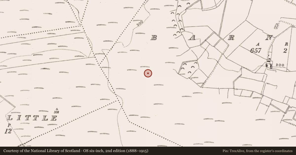 Ordnance Survey six-inch map, 2nd edition (1888–1915) covering the location of Structure - peatland, Barnaboy, County Offaly, with a pin at the register's coordinates