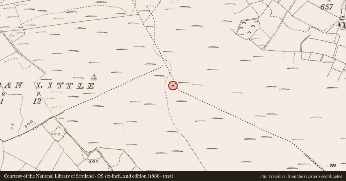 Ordnance Survey six-inch map, 2nd edition (1888–1915) covering the location of Structure - peatland, Barnaboy, County Offaly, with a pin at the register's coordinates