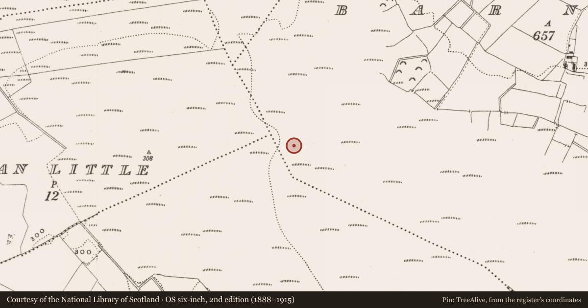 Ordnance Survey six-inch map, 2nd edition (1888–1915) covering the location of Structure - peatland, Barnaboy, County Offaly, with a pin at the register's coordinates
