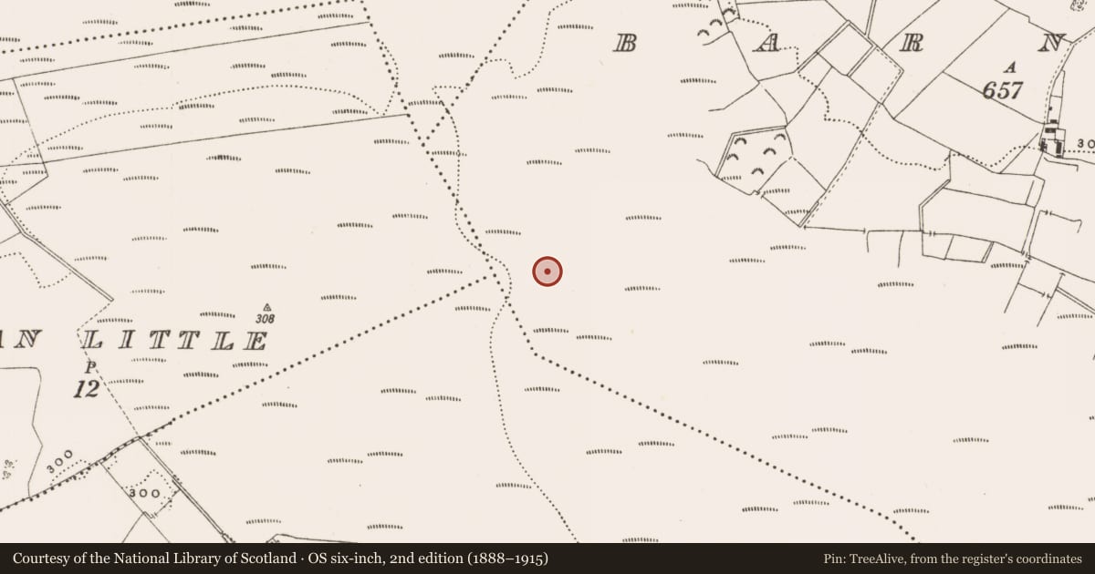 Ordnance Survey six-inch map, 2nd edition (1888–1915) covering the location of Structure - peatland, Barnaboy, County Offaly, with a pin at the register's coordinates