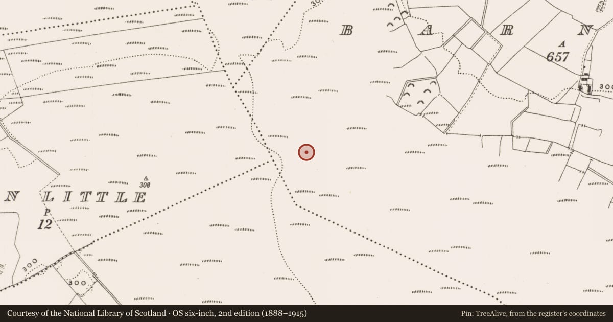 Ordnance Survey six-inch map, 2nd edition (1888–1915) covering the location of Structure - peatland, Barnaboy, County Offaly, with a pin at the register's coordinates