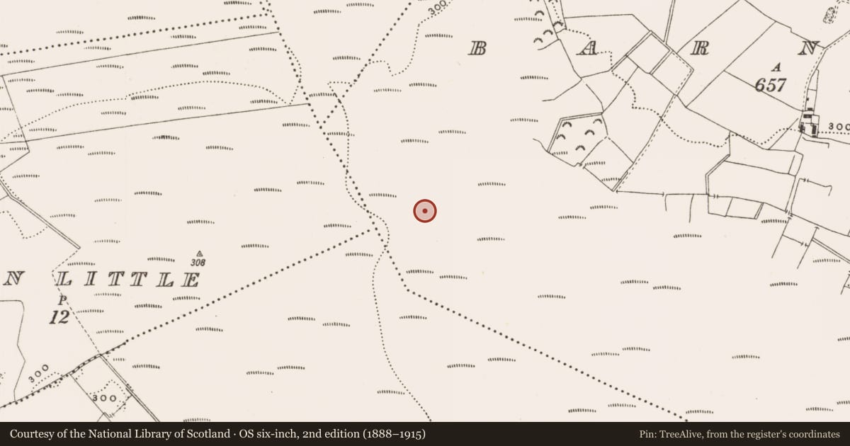 Ordnance Survey six-inch map, 2nd edition (1888–1915) covering the location of Structure - peatland, Barnaboy, County Offaly, with a pin at the register's coordinates