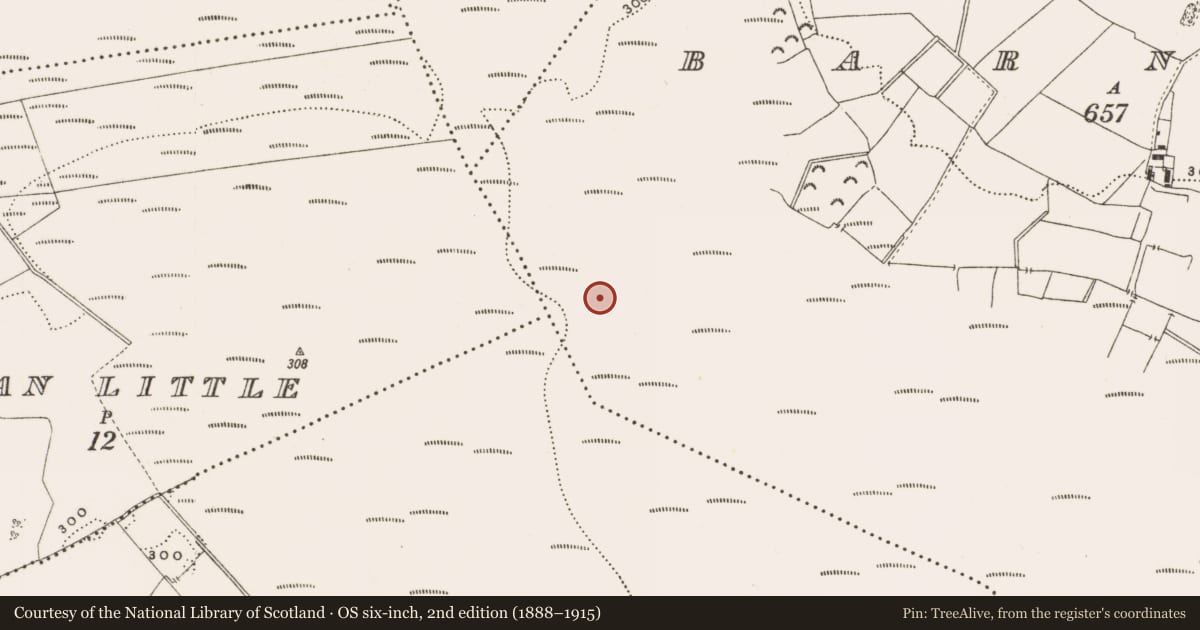 Ordnance Survey six-inch map, 2nd edition (1888–1915) covering the location of Structure - peatland, Barnaboy, County Offaly, with a pin at the register's coordinates