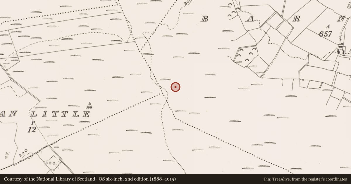 Ordnance Survey six-inch map, 2nd edition (1888–1915) covering the location of Structure - peatland, Barnaboy, County Offaly, with a pin at the register's coordinates